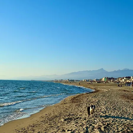 Apartament Perfect Location Viareggio