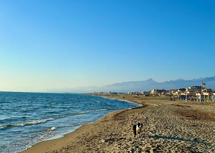 Apartment Perfect Location Viareggio